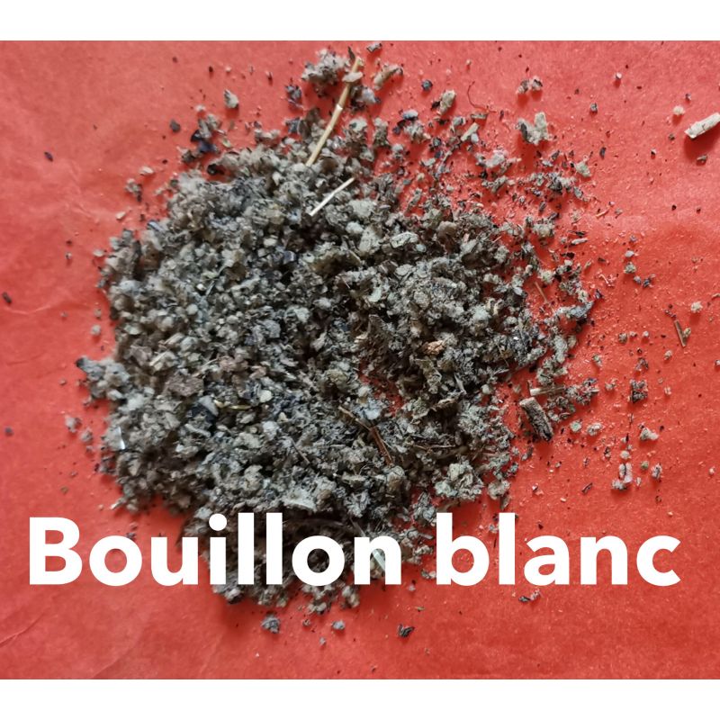 bouillon blanc